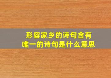 形容家乡的诗句含有唯一的诗句是什么意思