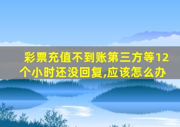 彩票充值不到账第三方等12个小时还没回复,应该怎么办