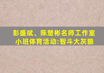 彭盛斌、陈楚彬名师工作室小班体育活动:智斗大灰狼