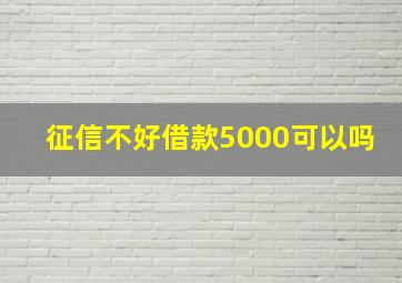 征信不好借款5000可以吗