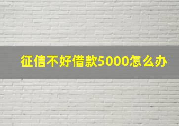 征信不好借款5000怎么办