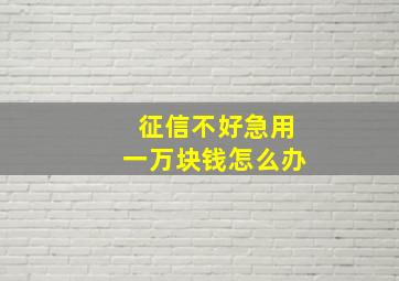 征信不好急用一万块钱怎么办