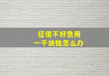 征信不好急用一千块钱怎么办