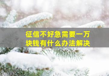 征信不好急需要一万块钱有什么办法解决