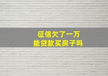 征信欠了一万能贷款买房子吗