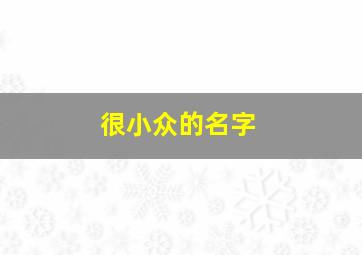 很小众的名字