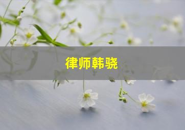 律师韩骁