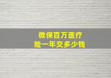 微保百万医疗险一年交多少钱