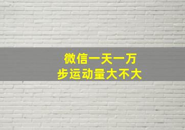 微信一天一万步运动量大不大