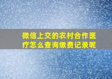 微信上交的农村合作医疗怎么查询缴费记录呢