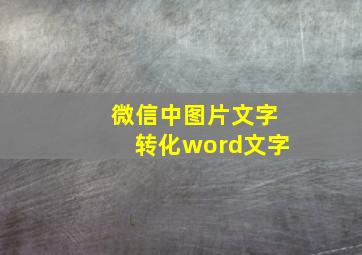 微信中图片文字转化word文字