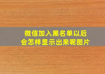 微信加入黑名单以后会怎样显示出来呢图片