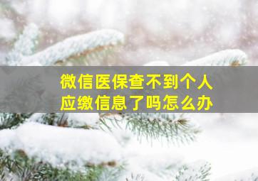 微信医保查不到个人应缴信息了吗怎么办