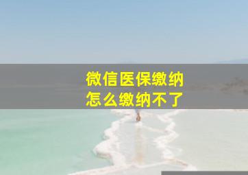 微信医保缴纳怎么缴纳不了