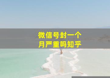 微信号封一个月严重吗知乎