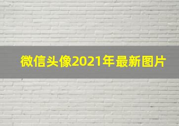 微信头像2021年最新图片