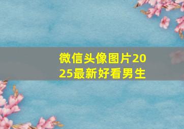 微信头像图片2025最新好看男生