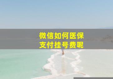 微信如何医保支付挂号费呢