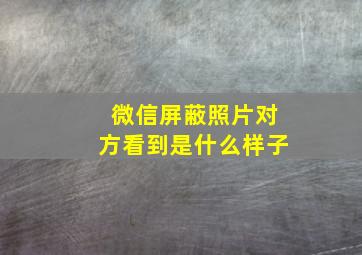 微信屏蔽照片对方看到是什么样子