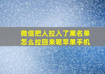 微信把人拉入了黑名单怎么拉回来呢苹果手机