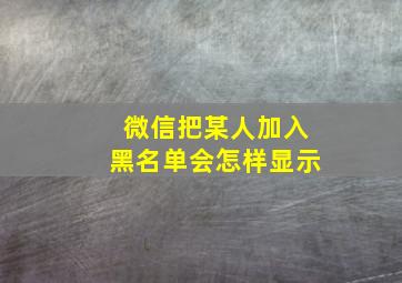 微信把某人加入黑名单会怎样显示