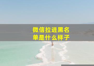 微信拉进黑名单是什么样子