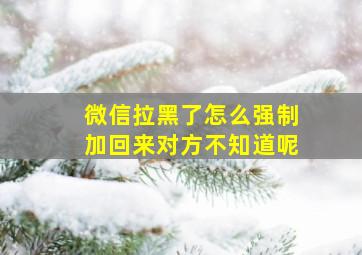 微信拉黑了怎么强制加回来对方不知道呢