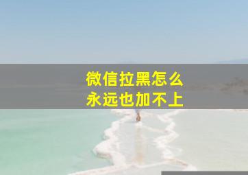 微信拉黑怎么永远也加不上