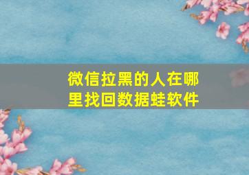 微信拉黑的人在哪里找回数据蛙软件