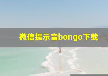 微信提示音bongo下载