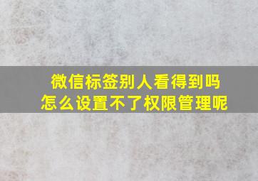 微信标签别人看得到吗怎么设置不了权限管理呢