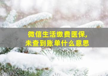 微信生活缴费医保,未查到账单什么意思