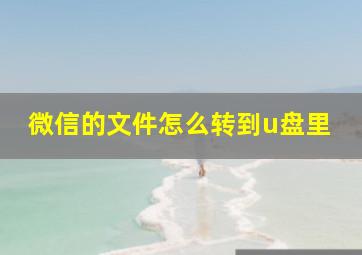 微信的文件怎么转到u盘里