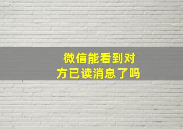 微信能看到对方已读消息了吗