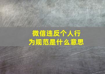 微信违反个人行为规范是什么意思