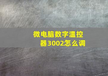 微电脑数字温控器3002怎么调