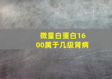 微量白蛋白1600属于几级肾病