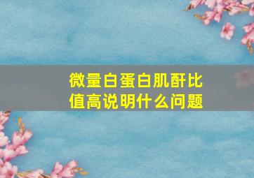 微量白蛋白肌酐比值高说明什么问题