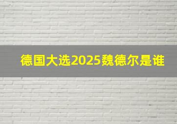 德国大选2025魏德尔是谁