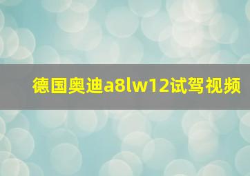 德国奥迪a8lw12试驾视频