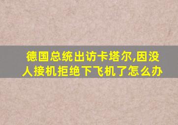 德国总统出访卡塔尔,因没人接机拒绝下飞机了怎么办