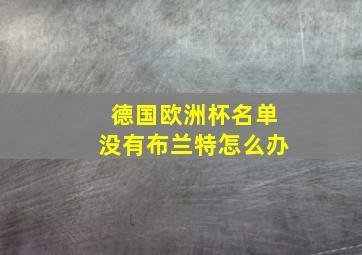 德国欧洲杯名单没有布兰特怎么办