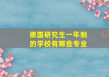 德国研究生一年制的学校有哪些专业