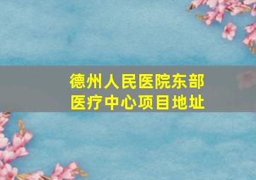 德州人民医院东部医疗中心项目地址