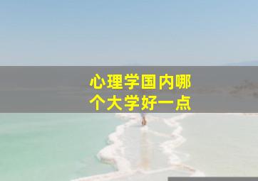 心理学国内哪个大学好一点