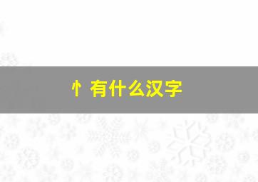 忄有什么汉字