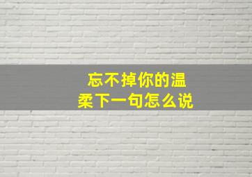 忘不掉你的温柔下一句怎么说