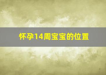 怀孕14周宝宝的位置