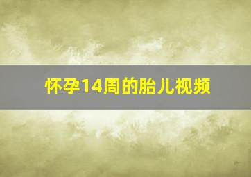 怀孕14周的胎儿视频