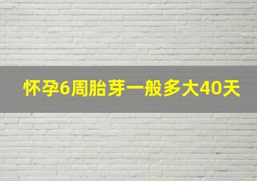 怀孕6周胎芽一般多大40天